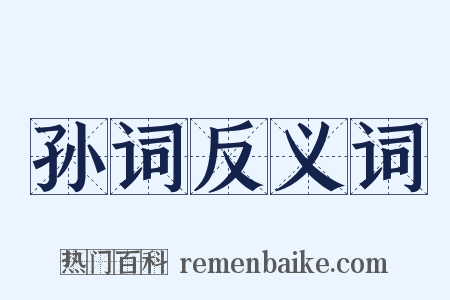 孙词反义词是什么意思的图片